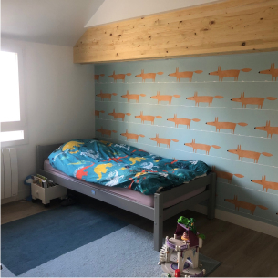 revêtement de murs près de tours à Monts dans l'Indre-et-Loire 37